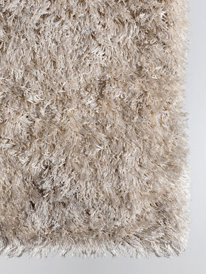 SHAGGY FUNKY - Second Image