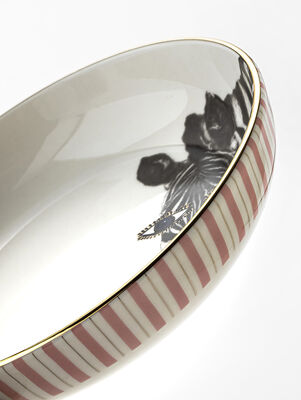 BOWL WILD ZEBRA 17 CM - Second Image