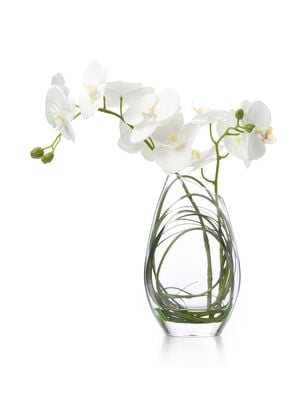 FLORERO ORQUIDEA ELISA WHITE L