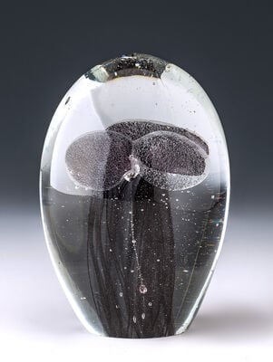 PISAPAPELES JELLY FISH MULTY BLACK