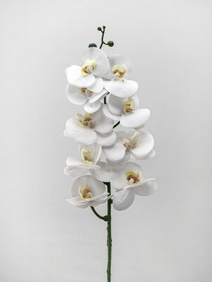 VARA ORQUIDEA TESS WHITE