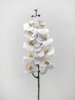 VARA ORQUIDEA TESS WHITE