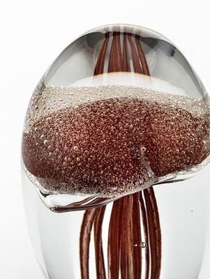 PISAPAPELES JELLY FISH BORDEAUX S - Second Image