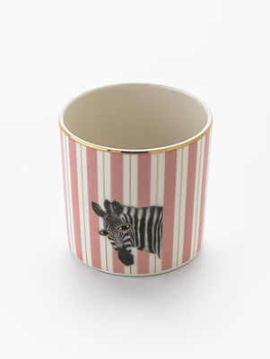 TAZA SIN ASA WILD ZEBRA 230CC