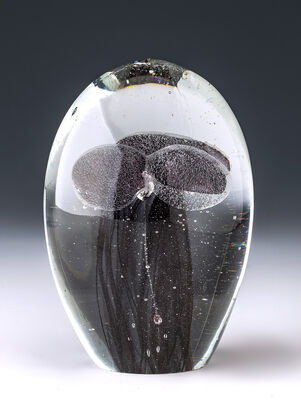 PISAPAPELES JELLY FISH MULTY BLACK