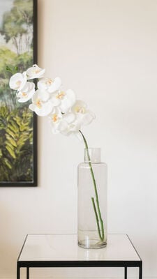 VARA ORQUIDEA TESS WHITE - Second Image