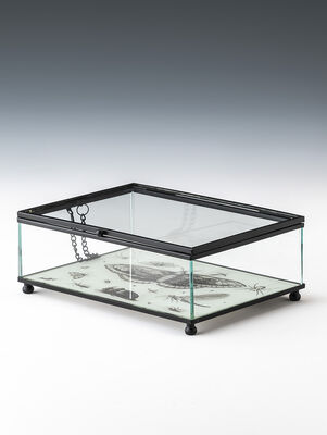 CAJA DE VIDRIO BITELY