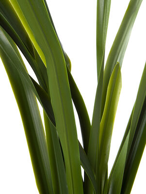 HOJA ESPADA ELISA 92 CM - Second Image