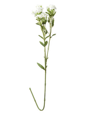 VARA CLAVEL BLANCO