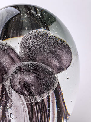 PISAPAPELES JELLY FISH MULTY BLACK - Second Image