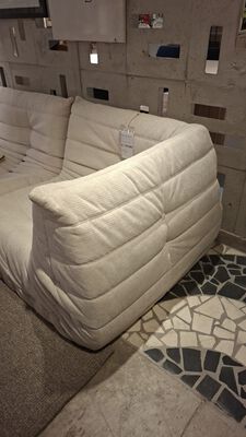 RINCONERO TOGO LORD WHITE - Second Image