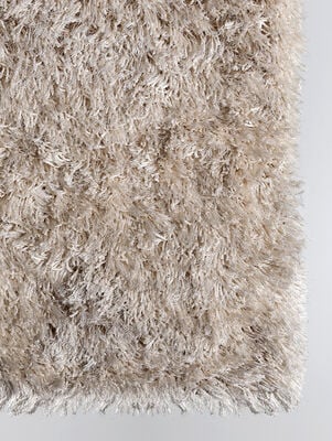 SHAGGY FUNKY - Second Image