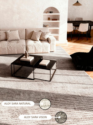 ALOY SARA GRIS 160X230