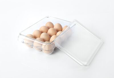 HUEVERA RECTANGULAR 12 PCS - Second Image
