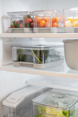 CONTENEDOR DE ALIMENTOS BLAIR GREY 2.9L - Second Image