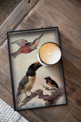 BANDEJA TOUCAN - Second Image