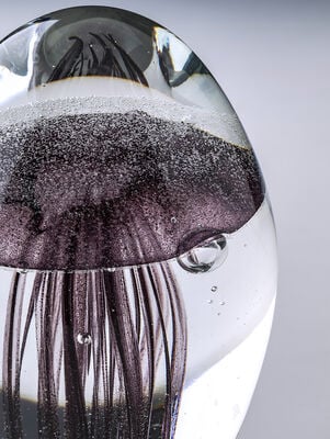 PISAPAPELES JELLY FISH BLACK 7X10 - Second Image