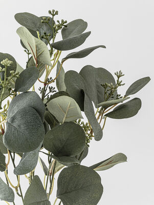 RAMO EUCALIPTO ELISA - Second Image