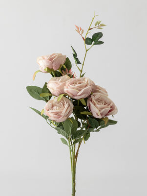 VARA PEONIA X6 ROSA