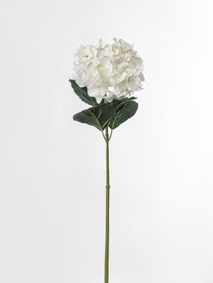 VARA HORTENSIA