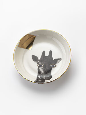 BOWL WILD GIRAFFE 17 CM
