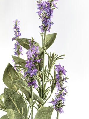 VARA LAVANDA - Second Image
