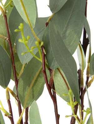 VARA HOJAS - Second Image