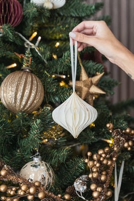 ADORNO ONION SET X4 - Second Image