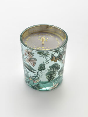 VELA DIX BLACKCURRANT - Second Image