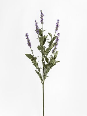 VARA LAVANDA