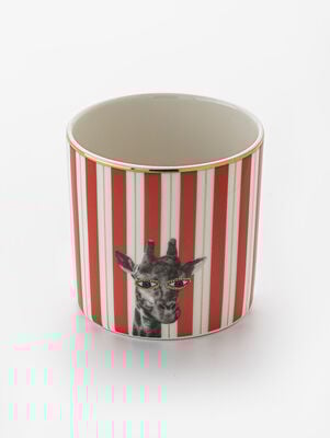 TAZA SIN ASA WILD GIRAFFE 230 CC
