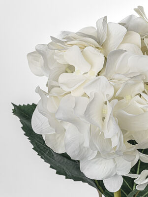 VARA HORTENSIA - Second Image