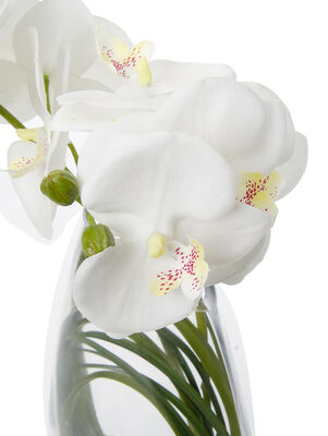 FLORERO ORQUIDEA ELISA WHITE L - Second Image