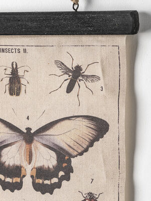 CANVAS BUTTERFLY 33X40 - Second Image