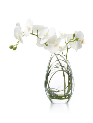 FLORERO ORQUIDEA ELISA WHITE L