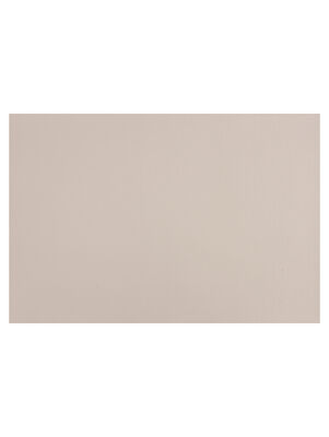 INDIVIDUAL CONSERVATIVE BEIGE