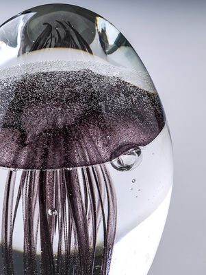 PISAPAPELES JELLY FISH BLACK 7X10 - Second Image