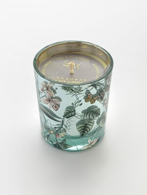 VELA DIX BLACKCURRANT - Second Image