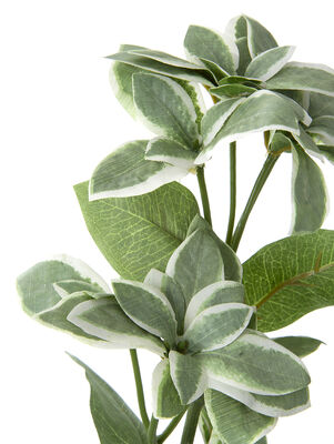 VARA HOJAS DISCIPLINADA - Second Image