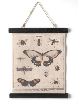 CANVAS BUTTERFLY 33X40