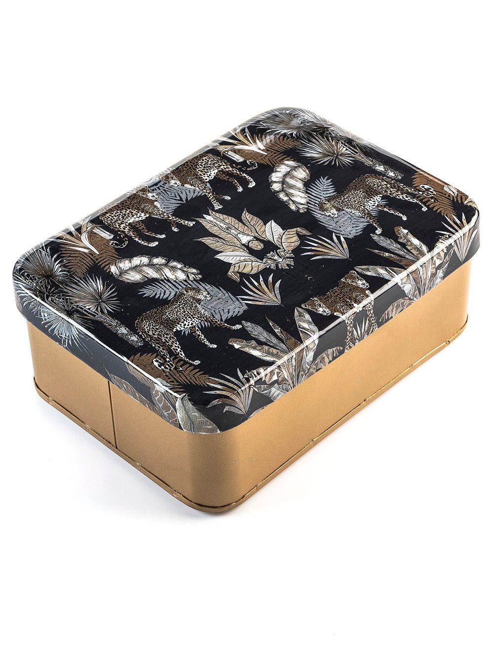 CAJA ELLEN image number null