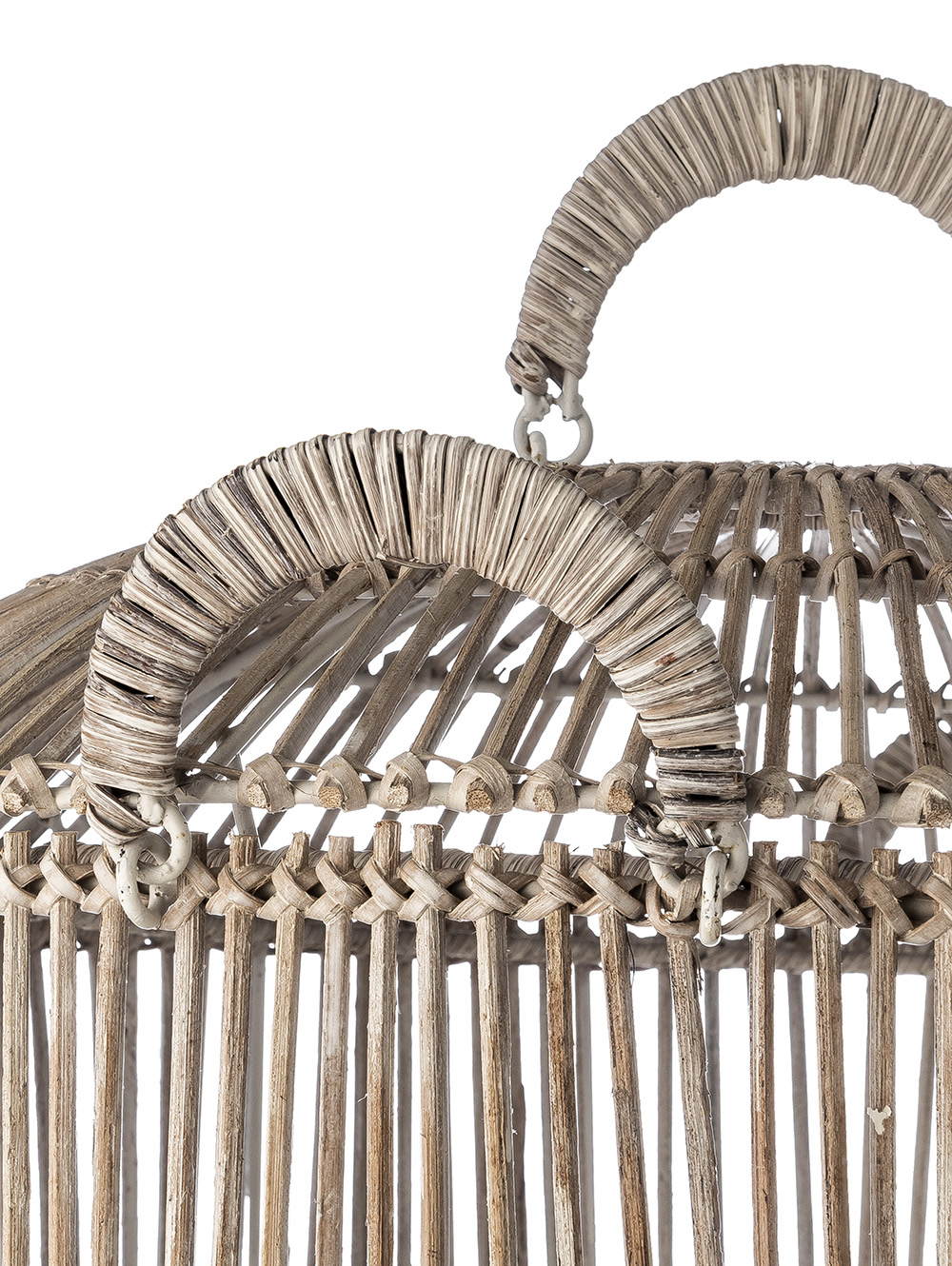 CANASTO DAGMAR image number null