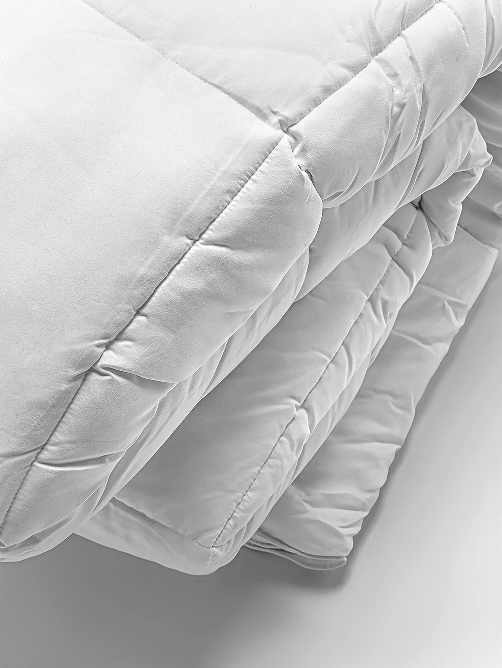 EDREDON CALIFORNIA image number null