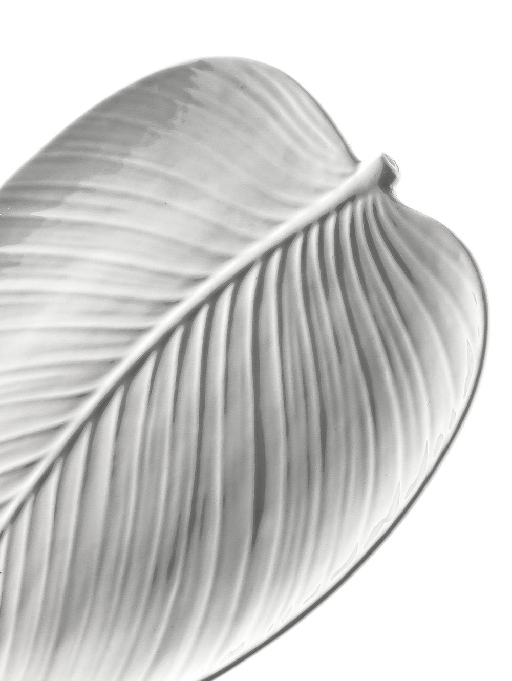 bandeja de porcelana-BANDEJA DE PORCELANA HOJA 30X21 CM-MISHKA-5.jpg image number null
