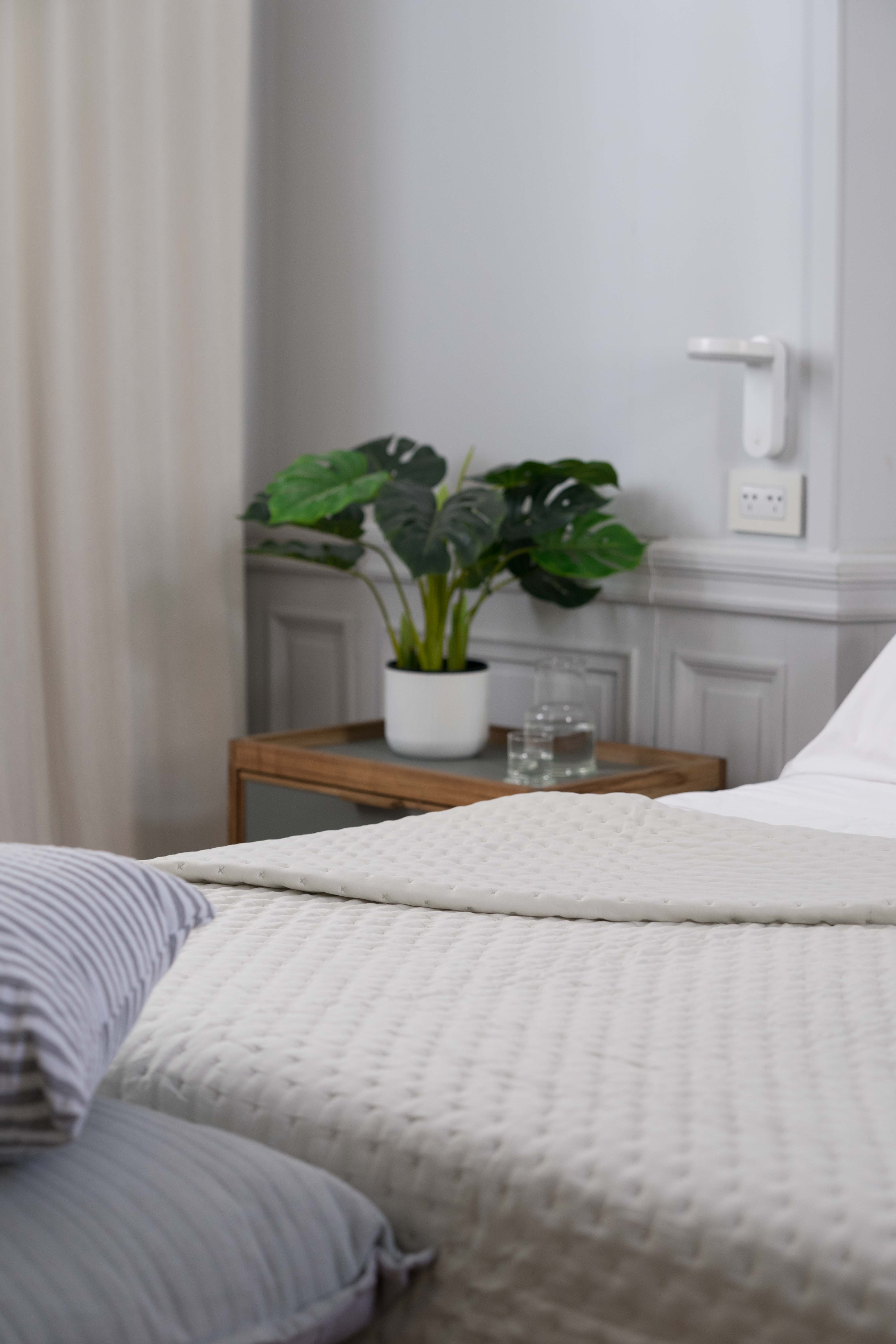 2024.10.31 Landmark Cubrecama Regina 2DSC00768-74.jpg image number null