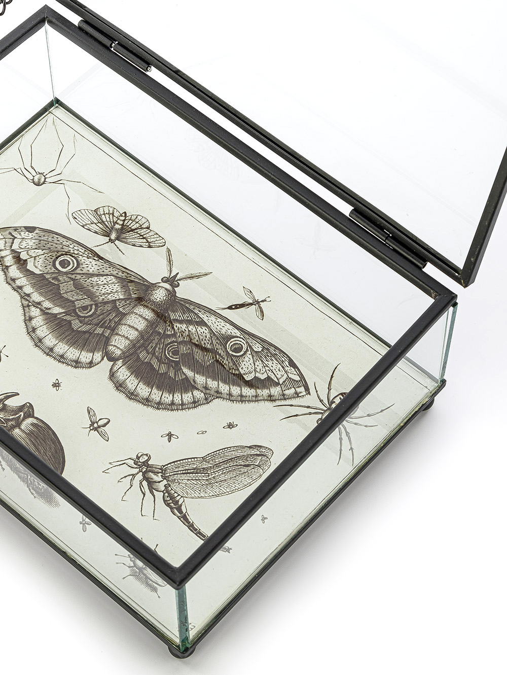 CAJA DE VIDRIO BITELY image number null