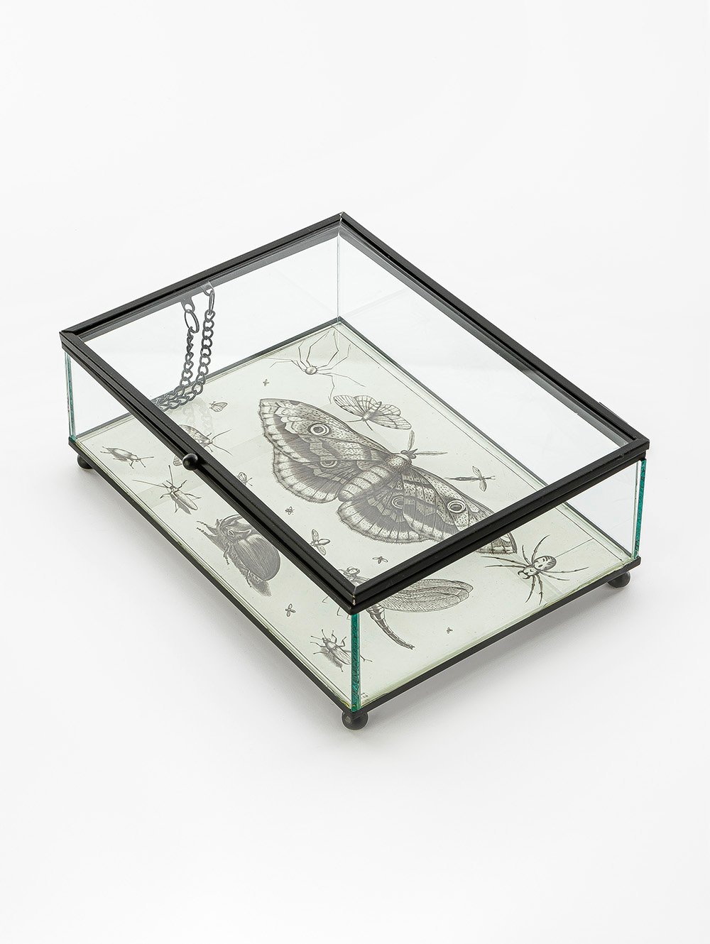 CAJA DE VIDRIO BITELY image number null