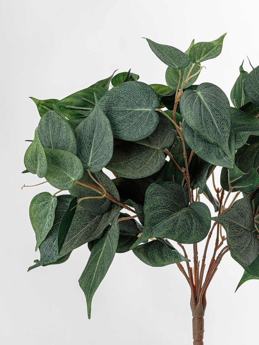 POTUS RAMO image number null