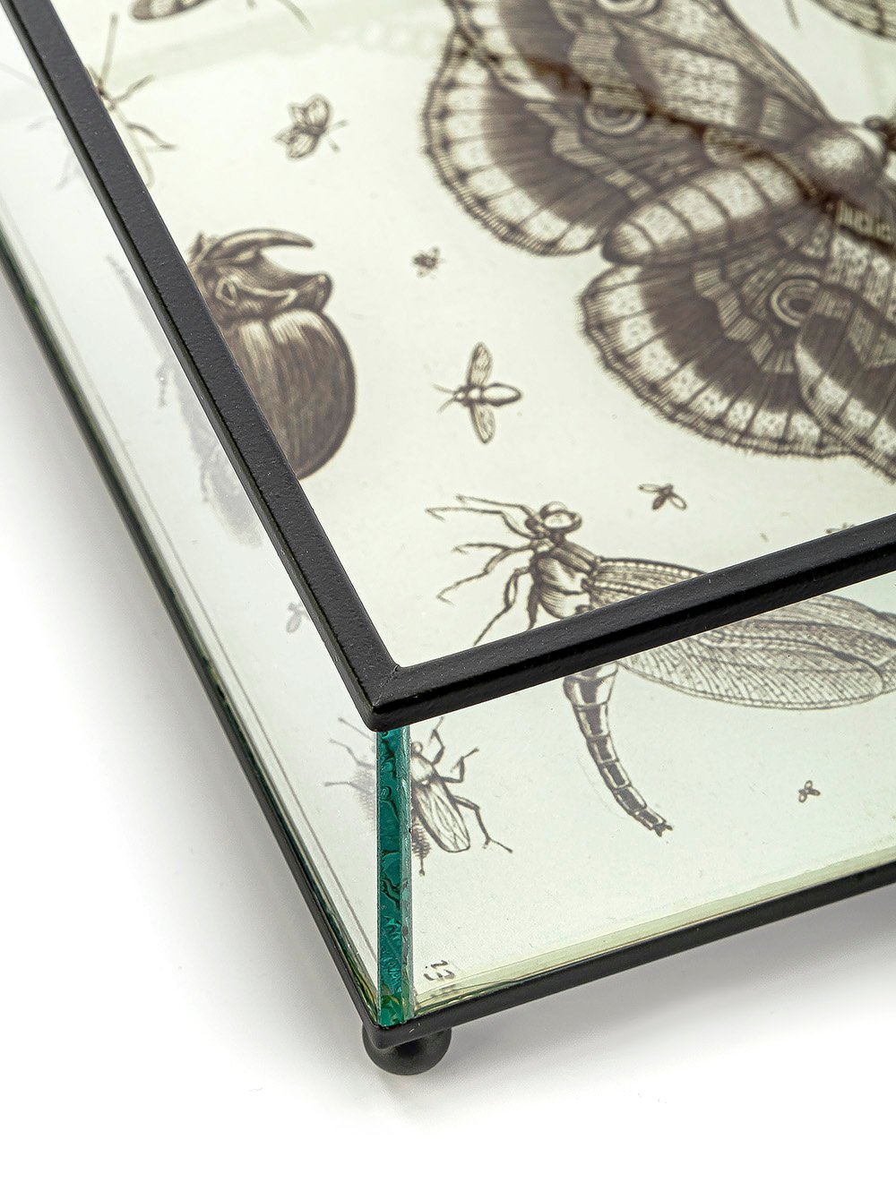 CAJA DE VIDRIO BITELY-TAI-5.jpg image number null