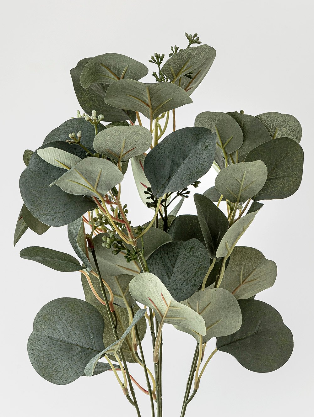 planta artificial-RAMO EUCALIPTO ELISA-LC CISNES-2.jpg image number null